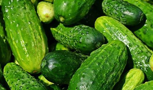 黄瓜农药爆料方法视频大全,教你轻松识别农药残留 第1张 黄瓜农药爆料方法视频大全,教你轻松识别农药残留 第1张